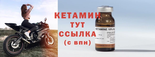 шишки Дмитров