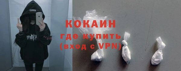 шишки Дмитров
