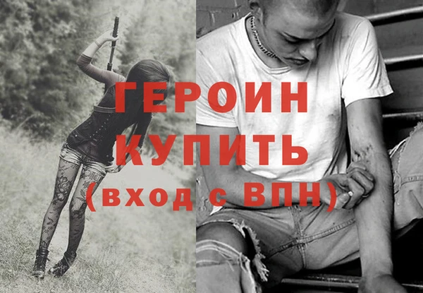 шишки Дмитров