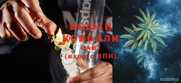 шишки Дмитров