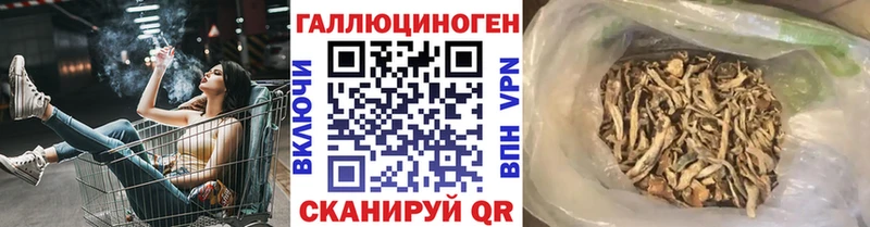 Псилоцибиновые грибы Cubensis  Купить  Кодинск 