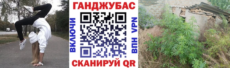 Бошки марихуана MAZAR  Купить  Кодинск 